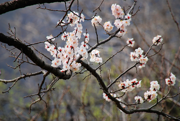 DSC_3086.jpg