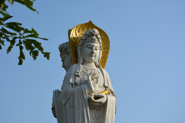 DSC_0754.jpg
